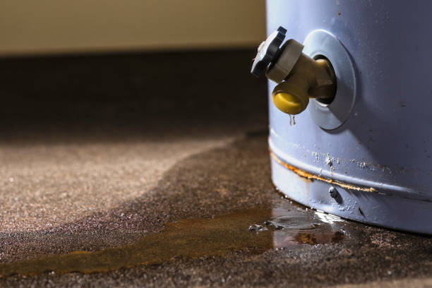 Best Flood restoration services  in Cresskill, NJ