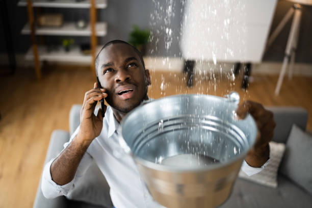 Best Professional water damage repair  in Cresskill, NJ