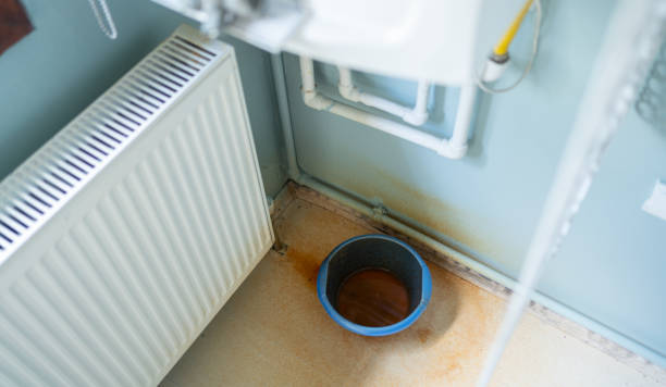 Best Mold removal after water damage  in Cresskill, NJ